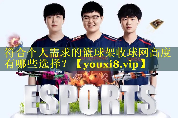 符合个人需求的篮球架收球网高度有哪些选择？