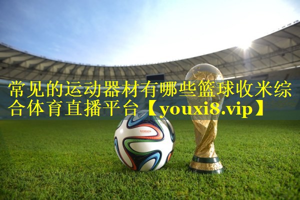 常见的运动器材有哪些篮球收米综合体育直播平台