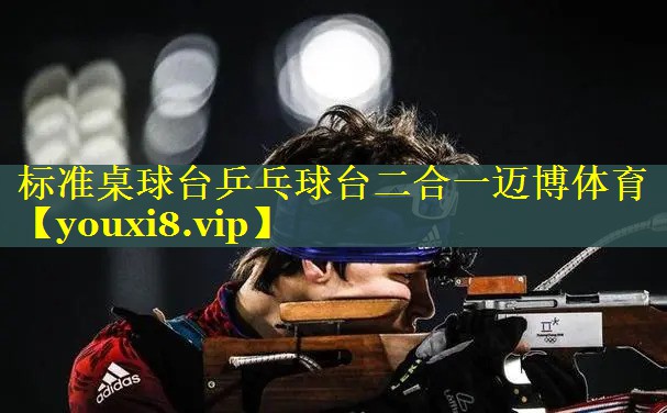 标准桌球台乒乓球台二合一迈博体育