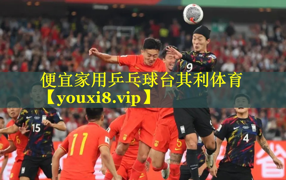 便宜家用乒乓球台其利体育