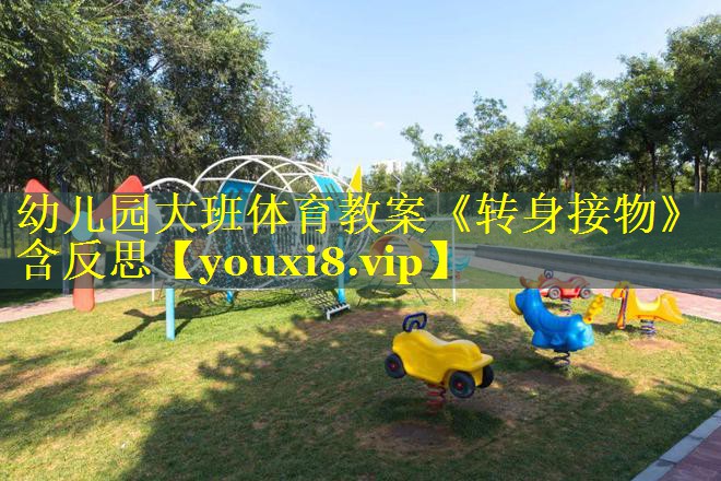 幼儿园大班体育教案《转身接物》含反思
