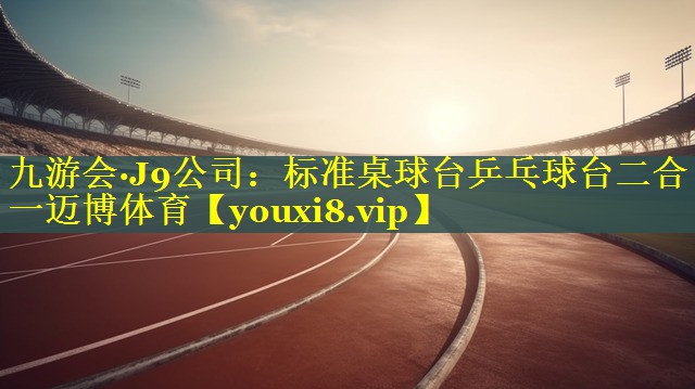 九游会·J9公司：标准桌球台乒乓球台二合一迈博体育