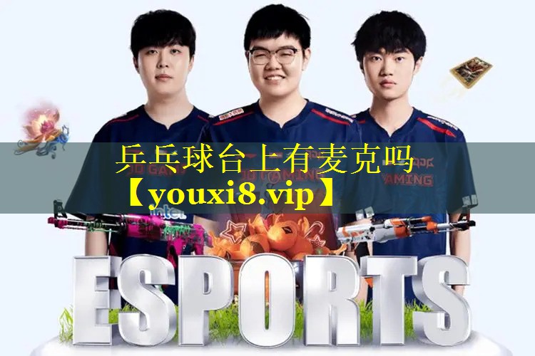 乒乓球台上有麦克吗