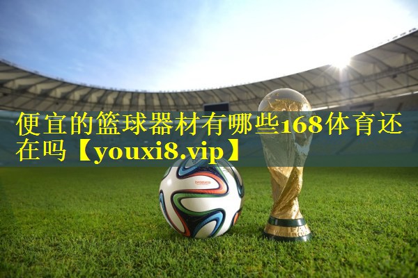 便宜的篮球器材有哪些168体育还在吗
