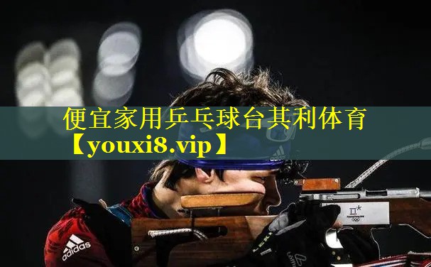 便宜家用乒乓球台其利体育