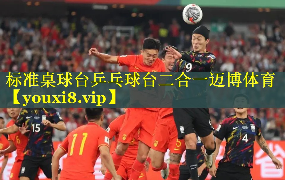 标准桌球台乒乓球台二合一迈博体育