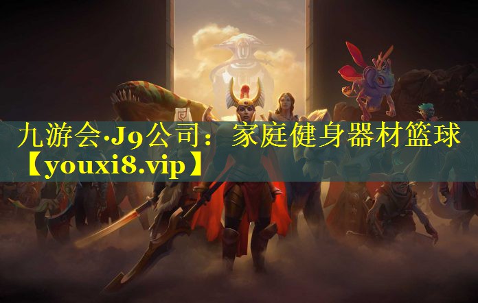 家庭健身器材篮球