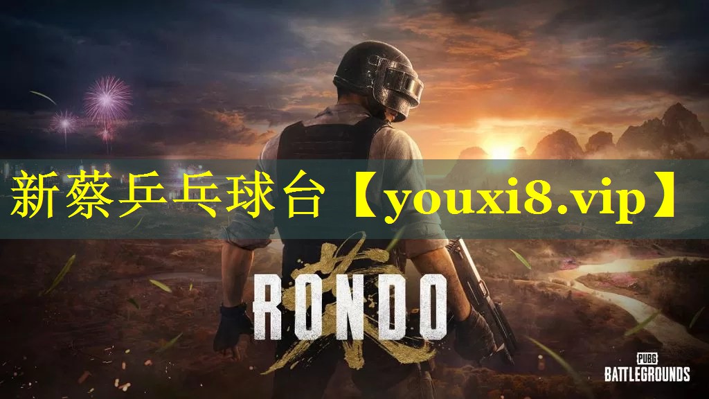 新蔡乒乓球台