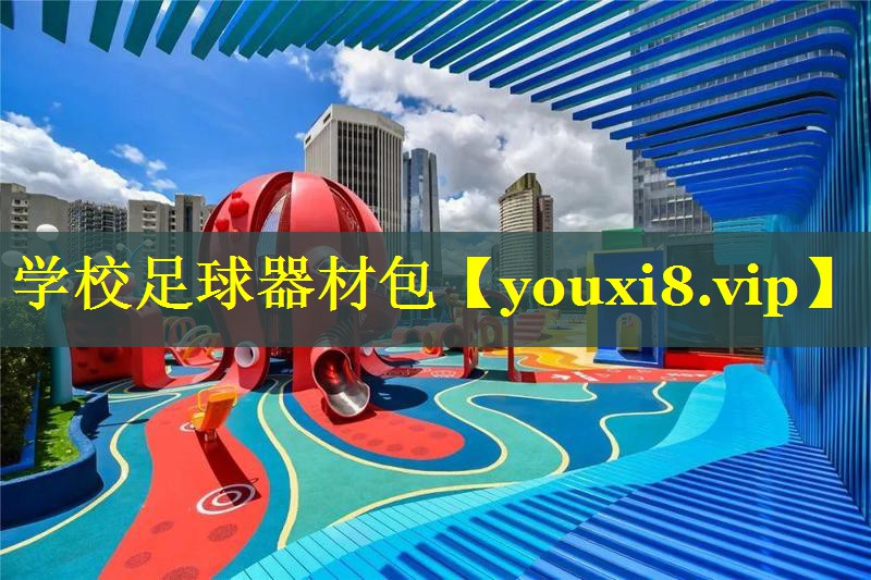 学校足球器材包