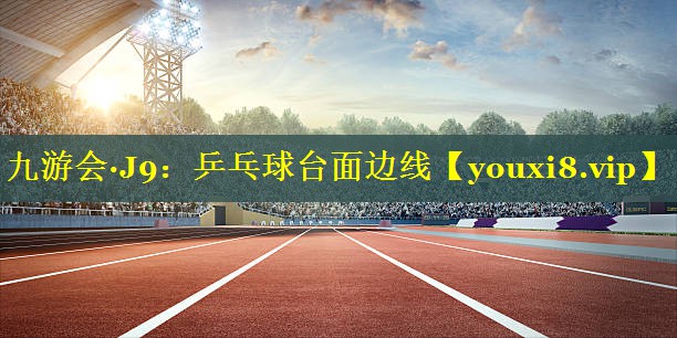 乒乓球台面边线